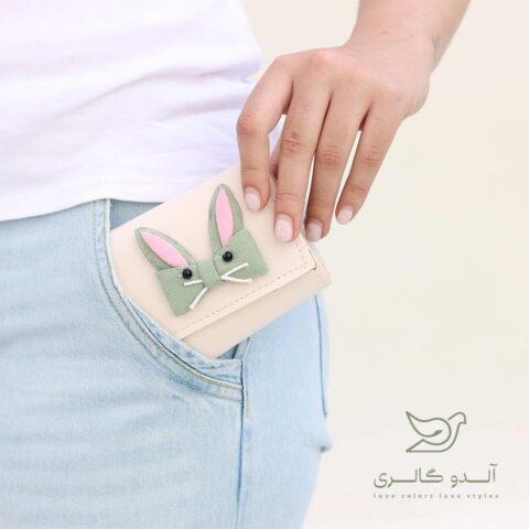 کیف پول دانگر