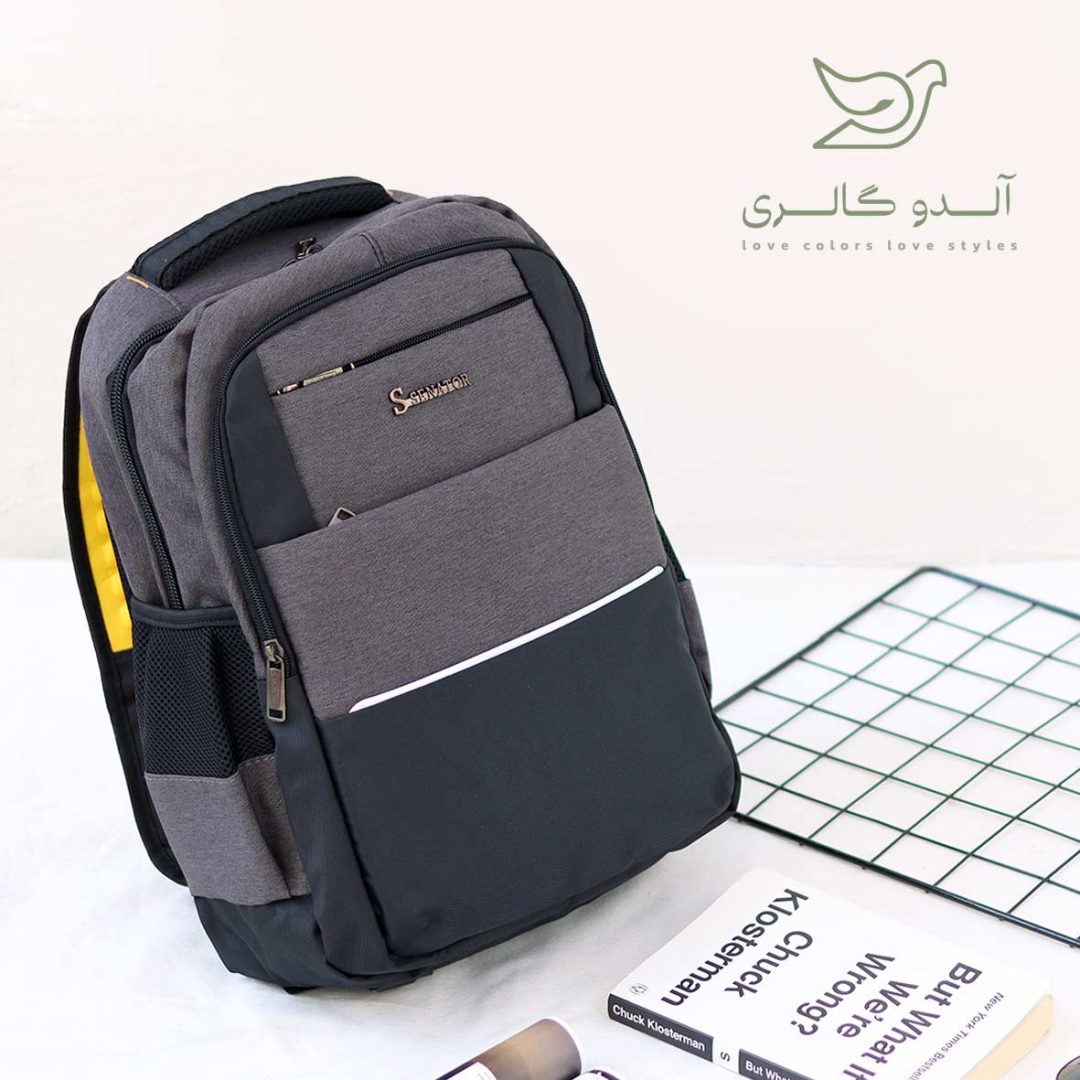 کوله پشتی لپ تاپ سناتور - Image 5