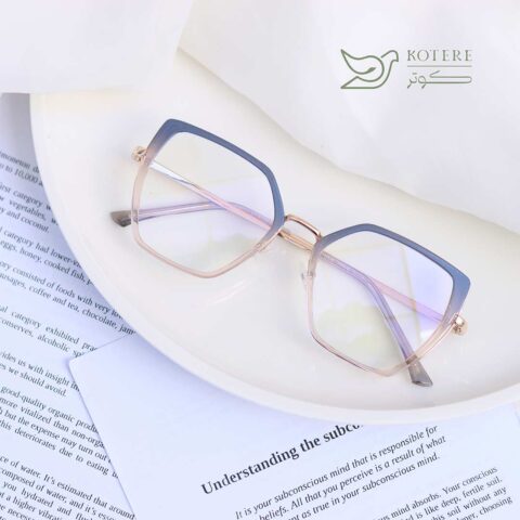 فریم طبی چیکا