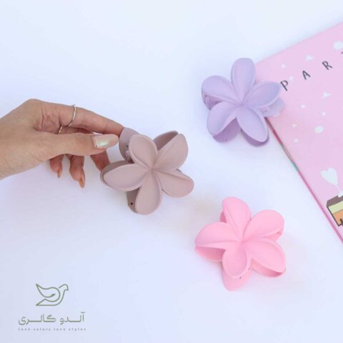 کلیپس بلومی