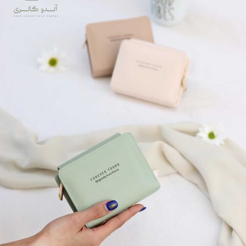 کیف پول و جاکارتی چانمی