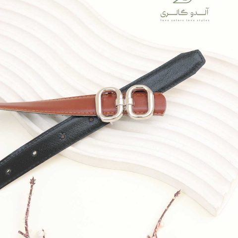کمربند کارین